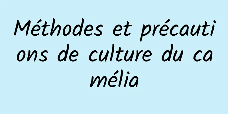 Méthodes et précautions de culture du camélia