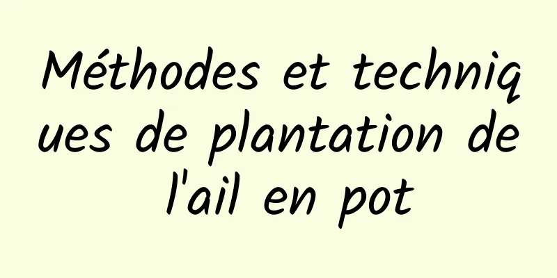 Méthodes et techniques de plantation de l'ail en pot