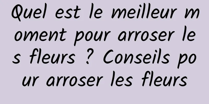 Quel est le meilleur moment pour arroser les fleurs ? Conseils pour arroser les fleurs