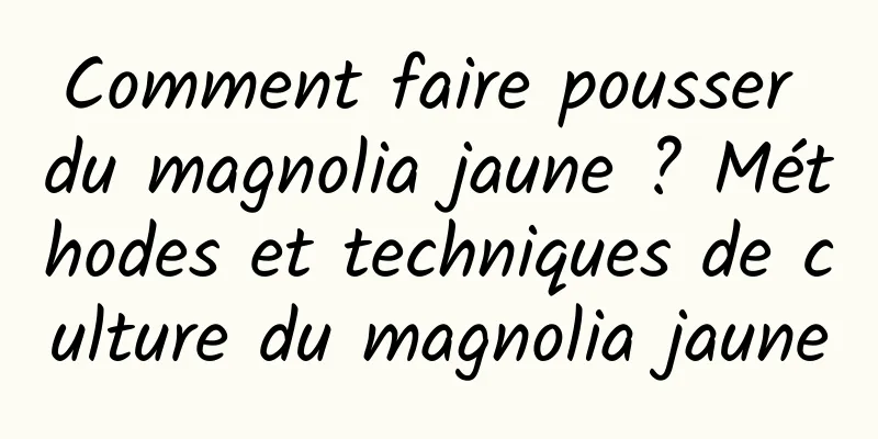 Comment faire pousser du magnolia jaune ? Méthodes et techniques de culture du magnolia jaune