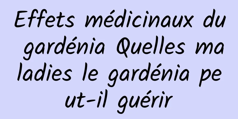 Effets médicinaux du gardénia Quelles maladies le gardénia peut-il guérir