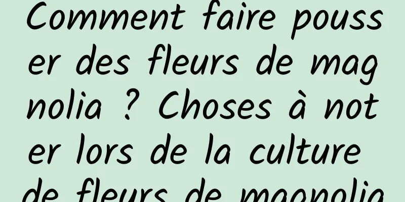 Comment faire pousser des fleurs de magnolia ? Choses à noter lors de la culture de fleurs de magnolia