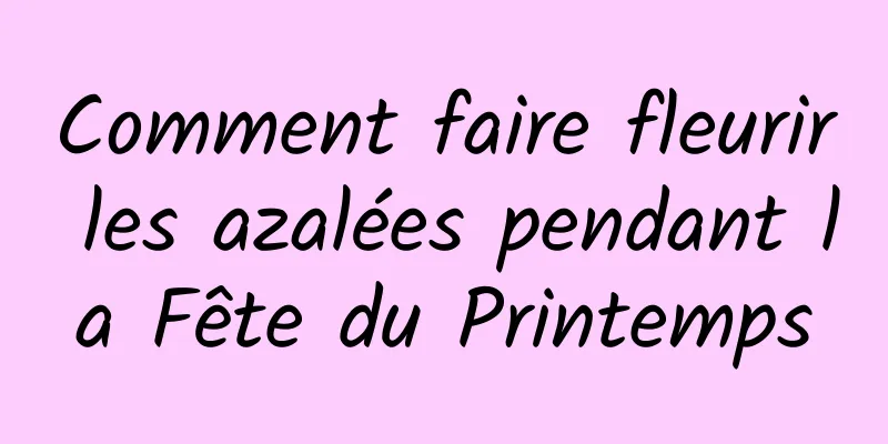 Comment faire fleurir les azalées pendant la Fête du Printemps