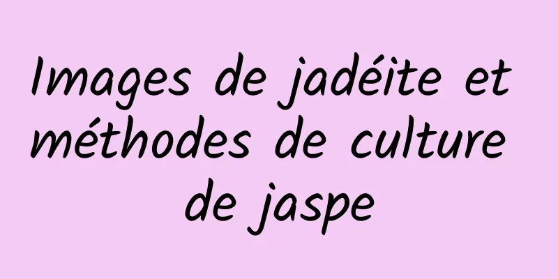 Images de jadéite et méthodes de culture de jaspe