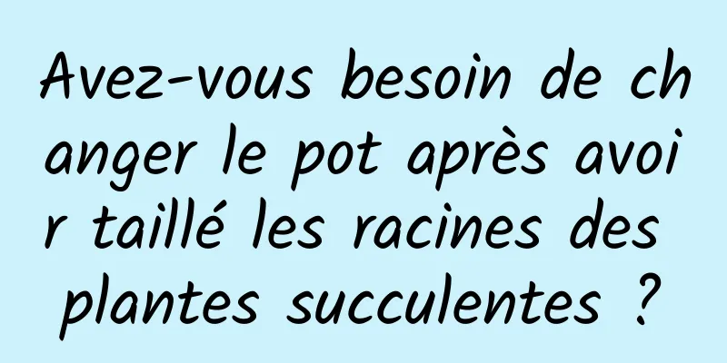 Avez-vous besoin de changer le pot après avoir taillé les racines des plantes succulentes ?