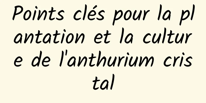 Points clés pour la plantation et la culture de l'anthurium cristal