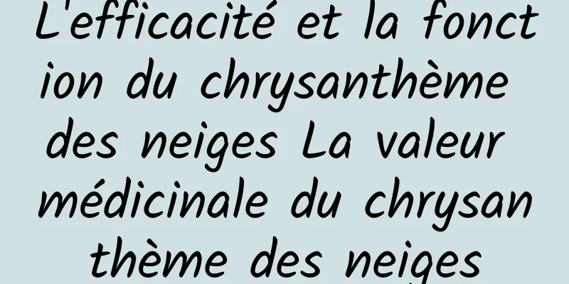 L'efficacité et la fonction du chrysanthème des neiges La valeur médicinale du chrysanthème des neiges