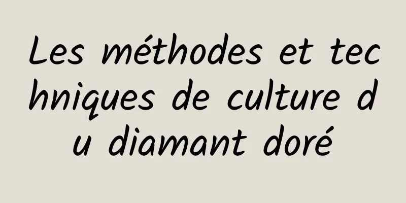 Les méthodes et techniques de culture du diamant doré