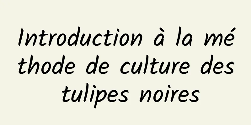 Introduction à la méthode de culture des tulipes noires