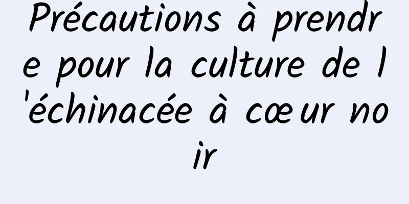 Précautions à prendre pour la culture de l'échinacée à cœur noir