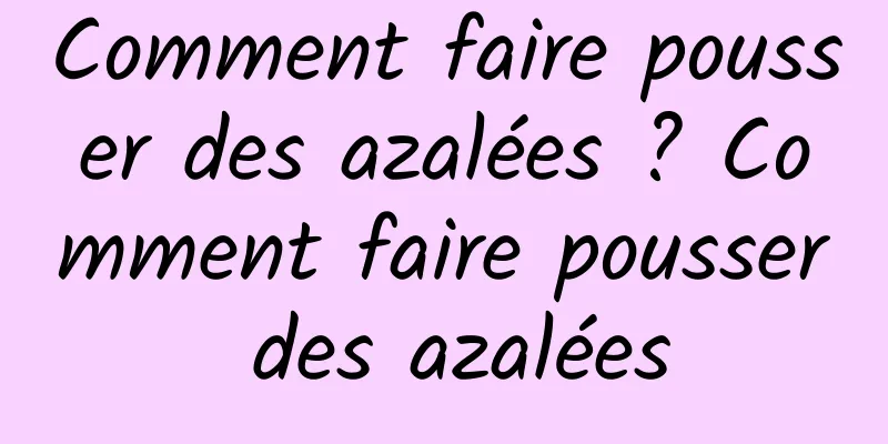 Comment faire pousser des azalées ? Comment faire pousser des azalées