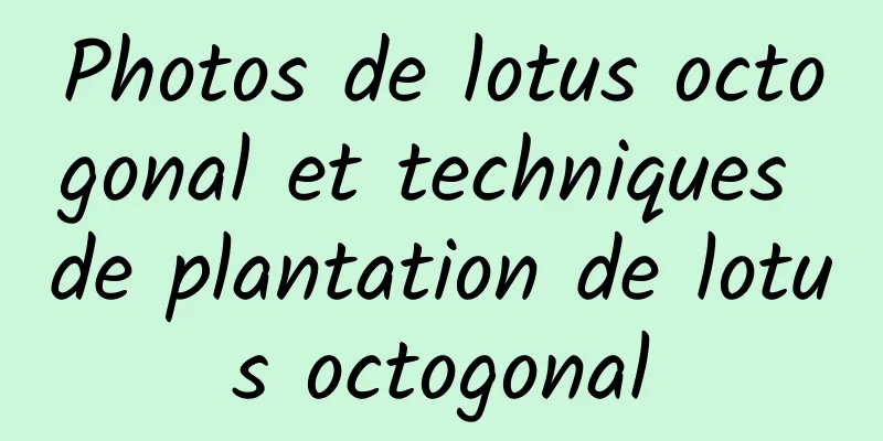 Photos de lotus octogonal et techniques de plantation de lotus octogonal