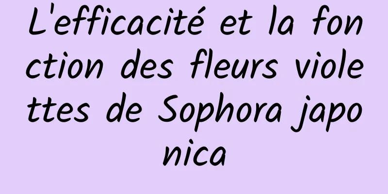 L'efficacité et la fonction des fleurs violettes de Sophora japonica