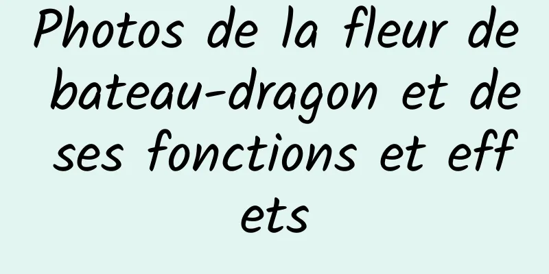 Photos de la fleur de bateau-dragon et de ses fonctions et effets