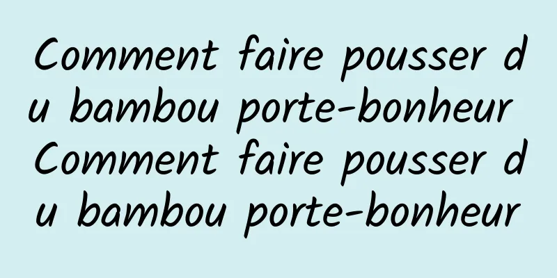 Comment faire pousser du bambou porte-bonheur Comment faire pousser du bambou porte-bonheur