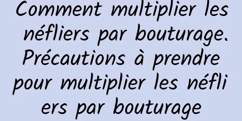 Comment multiplier les néfliers par bouturage. Précautions à prendre pour multiplier les néfliers par bouturage