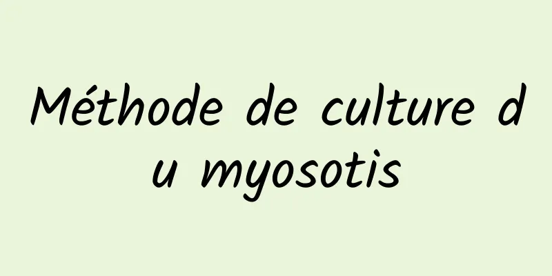 Méthode de culture du myosotis