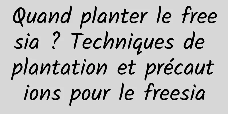 Quand planter le freesia ? Techniques de plantation et précautions pour le freesia