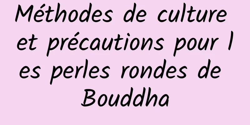 Méthodes de culture et précautions pour les perles rondes de Bouddha