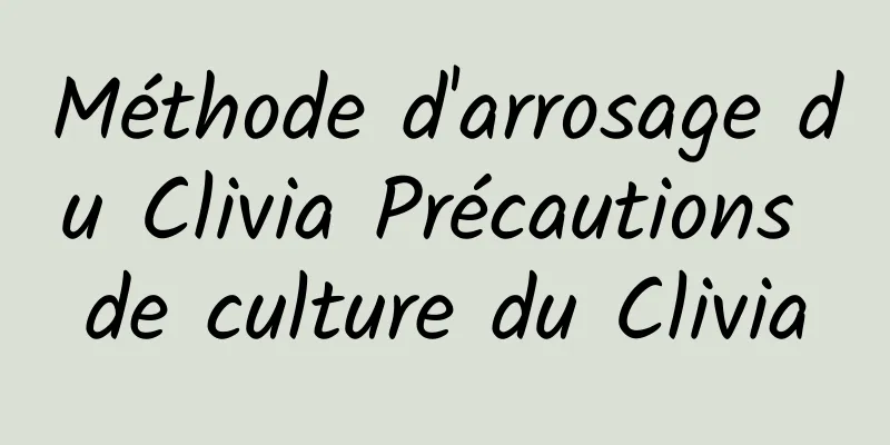 Méthode d'arrosage du Clivia Précautions de culture du Clivia