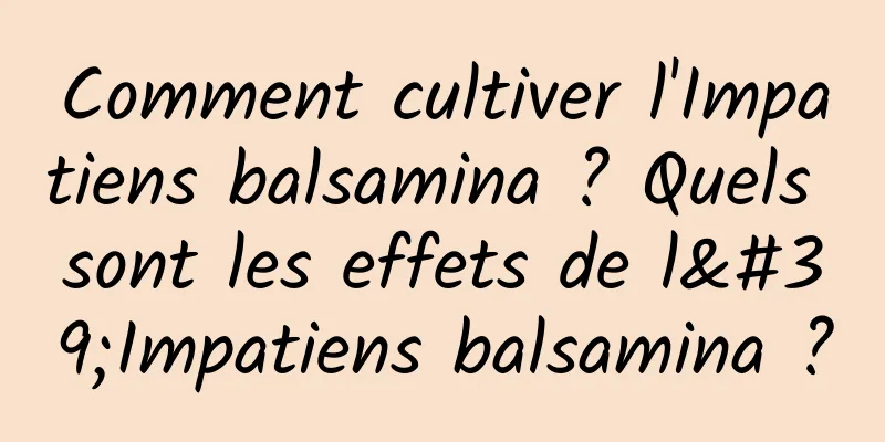 Comment cultiver l'Impatiens balsamina ? Quels sont les effets de l'Impatiens balsamina ?