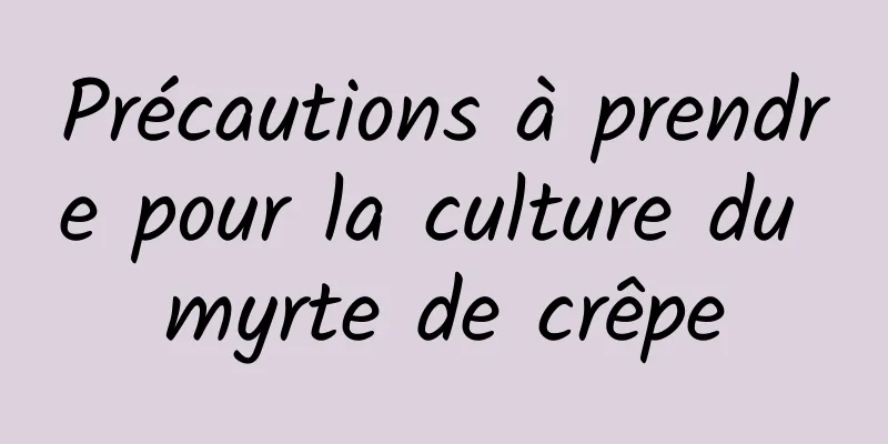 Précautions à prendre pour la culture du myrte de crêpe