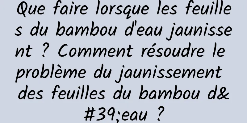 Que faire lorsque les feuilles du bambou d'eau jaunissent ? Comment résoudre le problème du jaunissement des feuilles du bambou d'eau ?