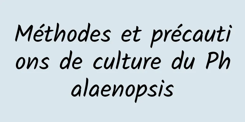 Méthodes et précautions de culture du Phalaenopsis