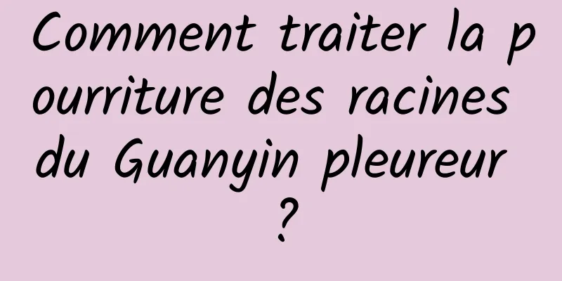 Comment traiter la pourriture des racines du Guanyin pleureur ?