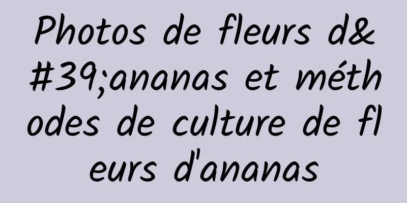 Photos de fleurs d'ananas et méthodes de culture de fleurs d'ananas