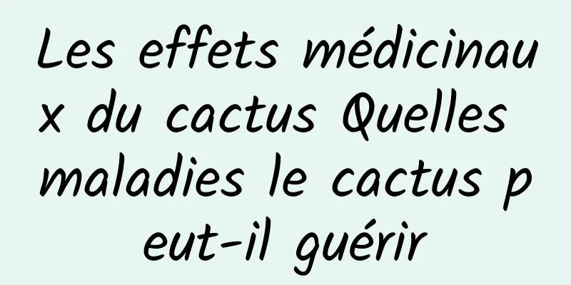 Les effets médicinaux du cactus Quelles maladies le cactus peut-il guérir