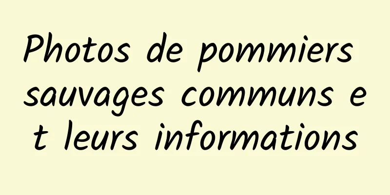 Photos de pommiers sauvages communs et leurs informations