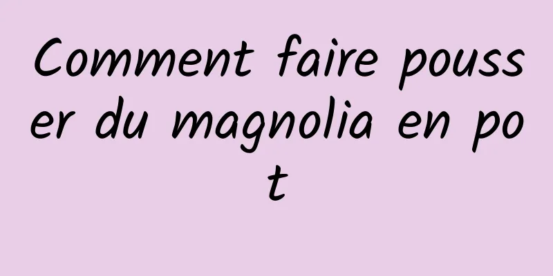 Comment faire pousser du magnolia en pot