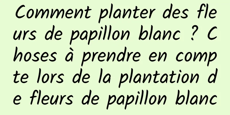 Comment planter des fleurs de papillon blanc ? Choses à prendre en compte lors de la plantation de fleurs de papillon blanc