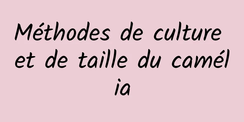 Méthodes de culture et de taille du camélia