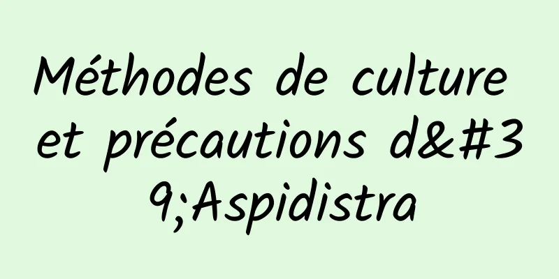 Méthodes de culture et précautions d'Aspidistra