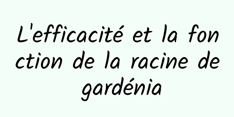 L'efficacité et la fonction de la racine de gardénia