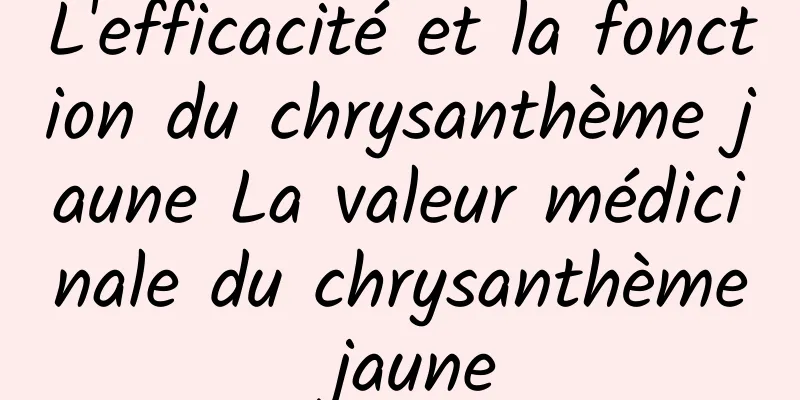 L'efficacité et la fonction du chrysanthème jaune La valeur médicinale du chrysanthème jaune