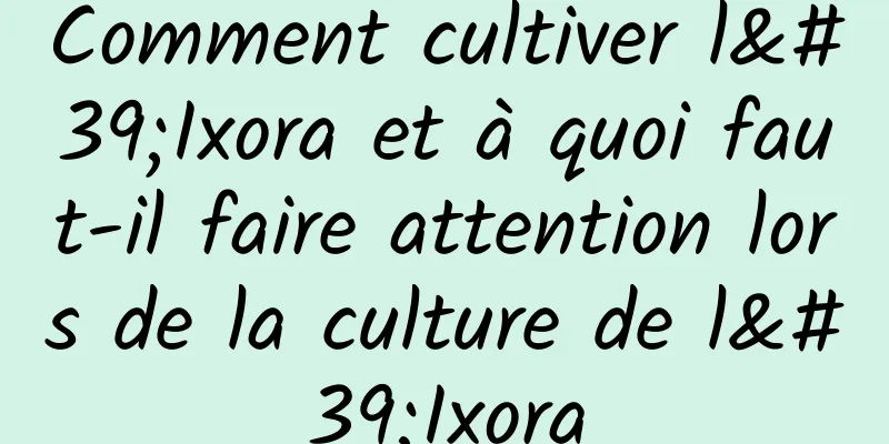 Comment cultiver l'Ixora et à quoi faut-il faire attention lors de la culture de l'Ixora