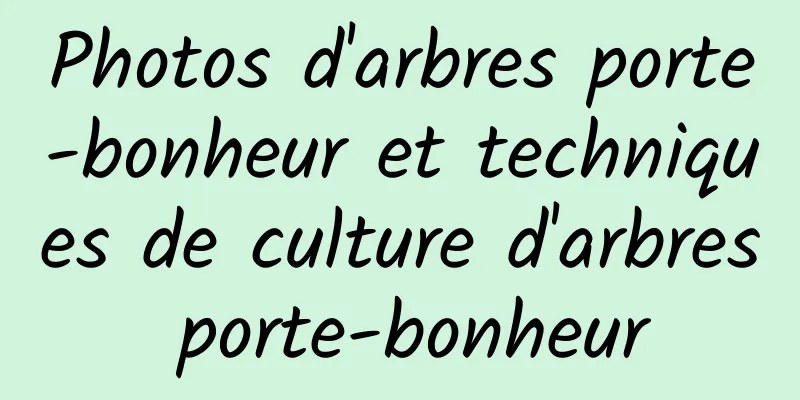 Photos d'arbres porte-bonheur et techniques de culture d'arbres porte-bonheur