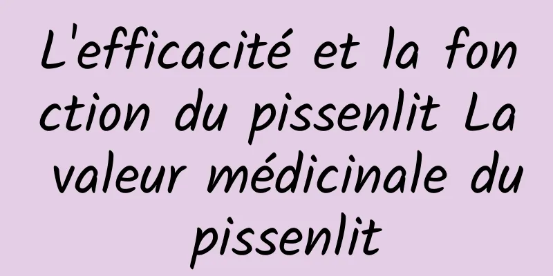 L'efficacité et la fonction du pissenlit La valeur médicinale du pissenlit