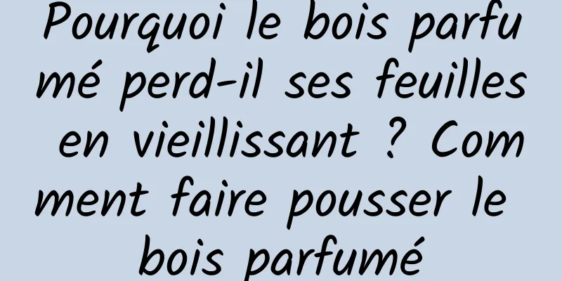 Pourquoi le bois parfumé perd-il ses feuilles en vieillissant ? Comment faire pousser le bois parfumé