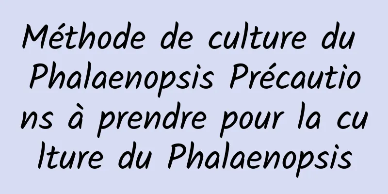 Méthode de culture du Phalaenopsis Précautions à prendre pour la culture du Phalaenopsis