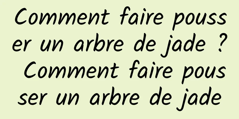 Comment faire pousser un arbre de jade ? Comment faire pousser un arbre de jade