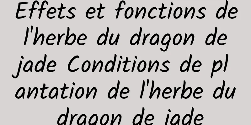 Effets et fonctions de l'herbe du dragon de jade Conditions de plantation de l'herbe du dragon de jade