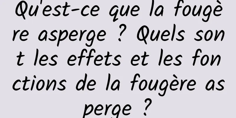 Qu'est-ce que la fougère asperge ? Quels sont les effets et les fonctions de la fougère asperge ?