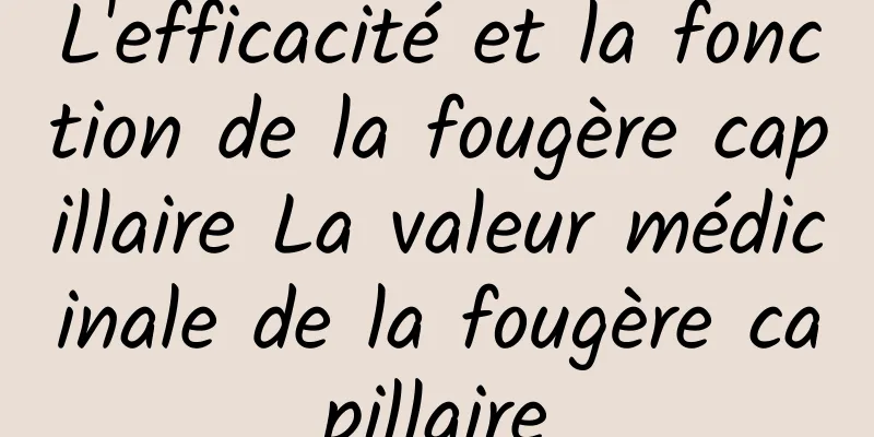 L'efficacité et la fonction de la fougère capillaire La valeur médicinale de la fougère capillaire