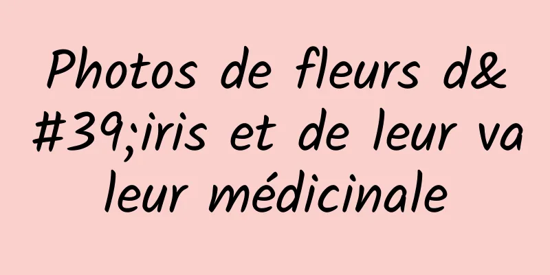 Photos de fleurs d'iris et de leur valeur médicinale