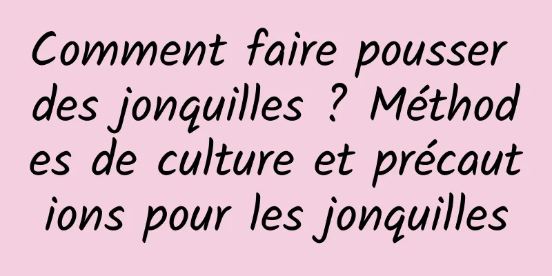 Comment faire pousser des jonquilles ? Méthodes de culture et précautions pour les jonquilles