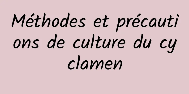 Méthodes et précautions de culture du cyclamen